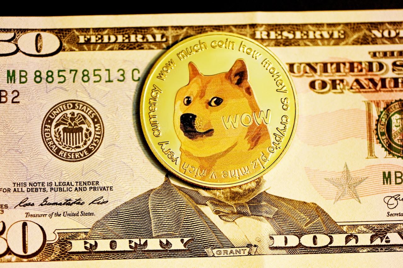 – Dogecoin-Twitter-Elon-Musk