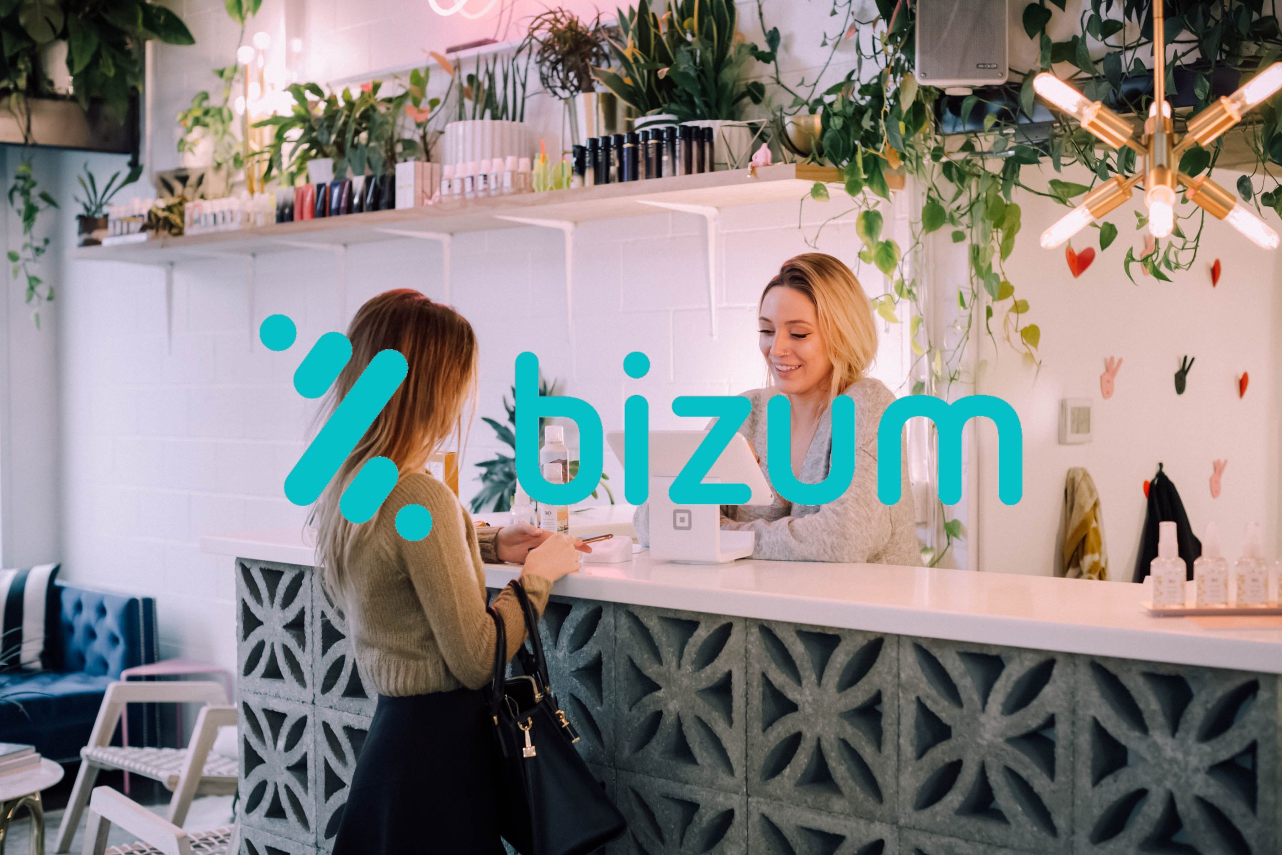 bizum-ecommerce-caja