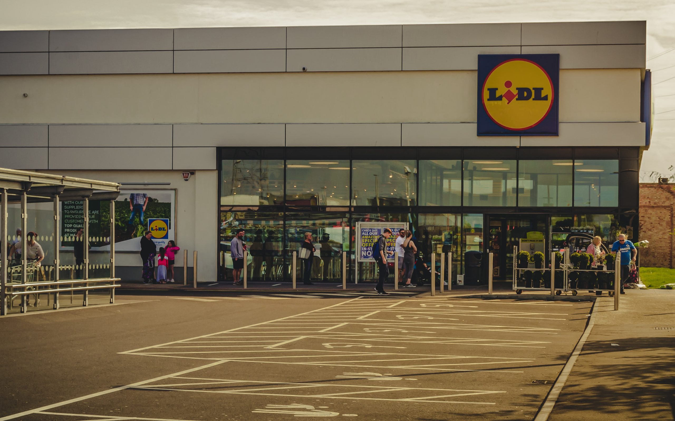 lidl-Navarra-ventas-eCommerce