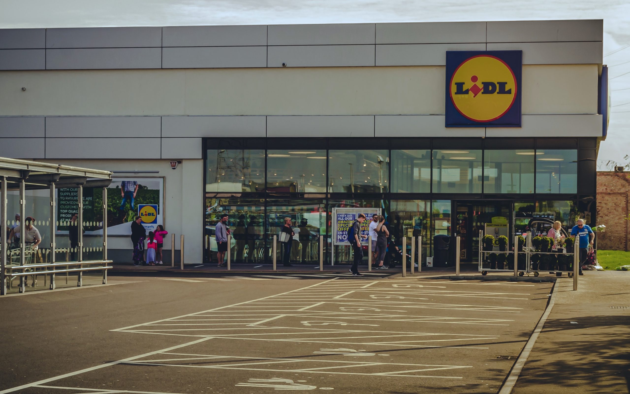 lidl-ecommerce-trabajo-